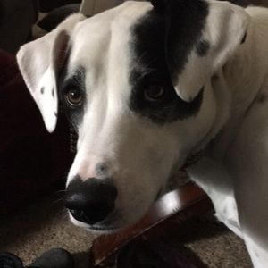 Meet your Posher, Vicki